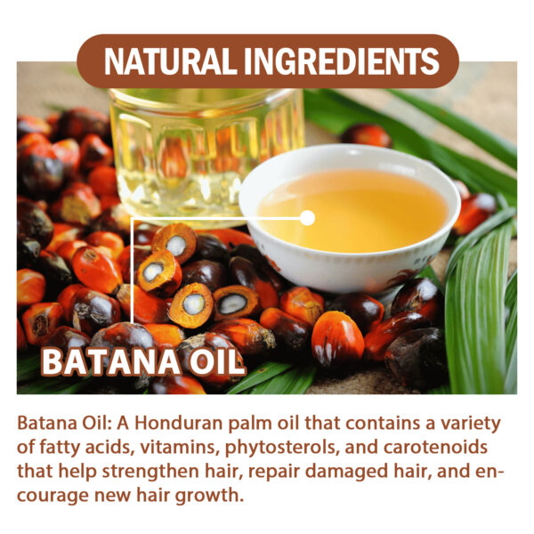 Natural Batana Oil,  Batana Oil From Honduras Unrefined For Men & Women 4.05 Fluid Ounces - Image 6